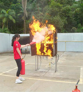 Curso de BRIGADISTAS