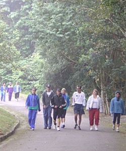 Caminhada