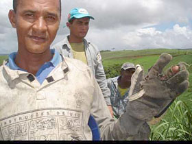 Cortadores de cana